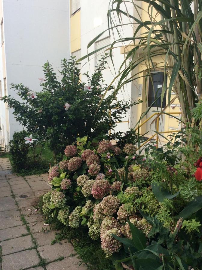 Jardim Das Flores Faro Ngoại thất bức ảnh